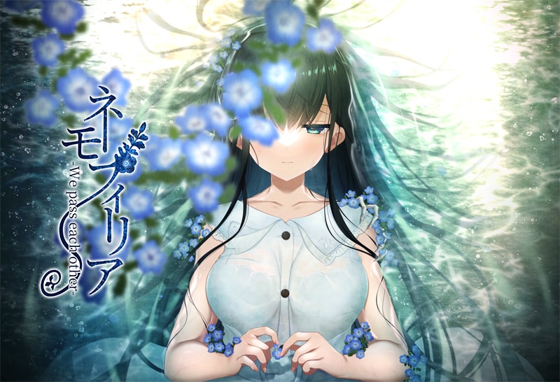 【磁力下载】[ADV] ネモフィリア -We pass each other DL版 [2888MB][日语]